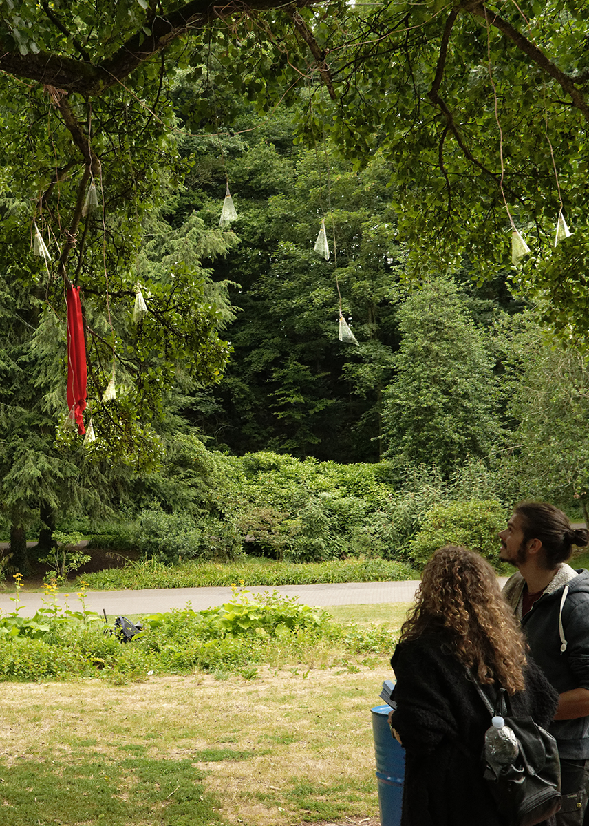 Kyung-Jae Kim - Baum und Leben - Klanginstallation